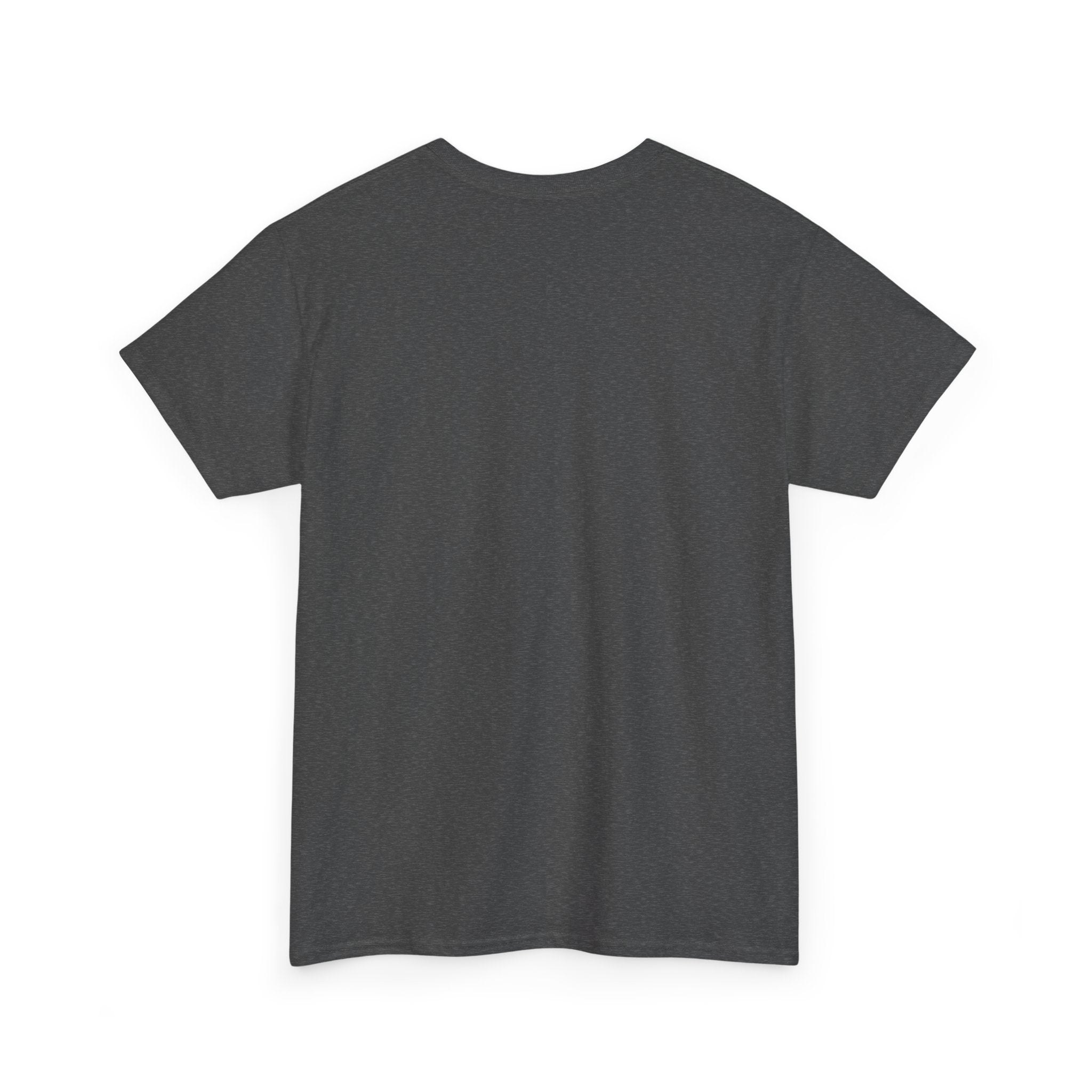 Space Wrangler Tee | Widespread Panic Shirt | WSP Space Wrangler Concert Apparel