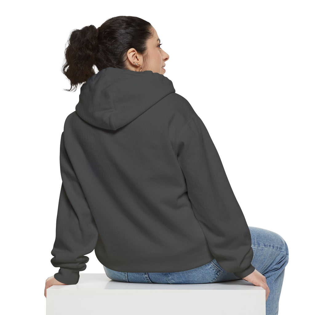 WSP Premium Hoodie | Widespread Panic Love Bird Sweatshirt | 9.5 oz Comfort Colors Heavy Weight Jamband Hoodie