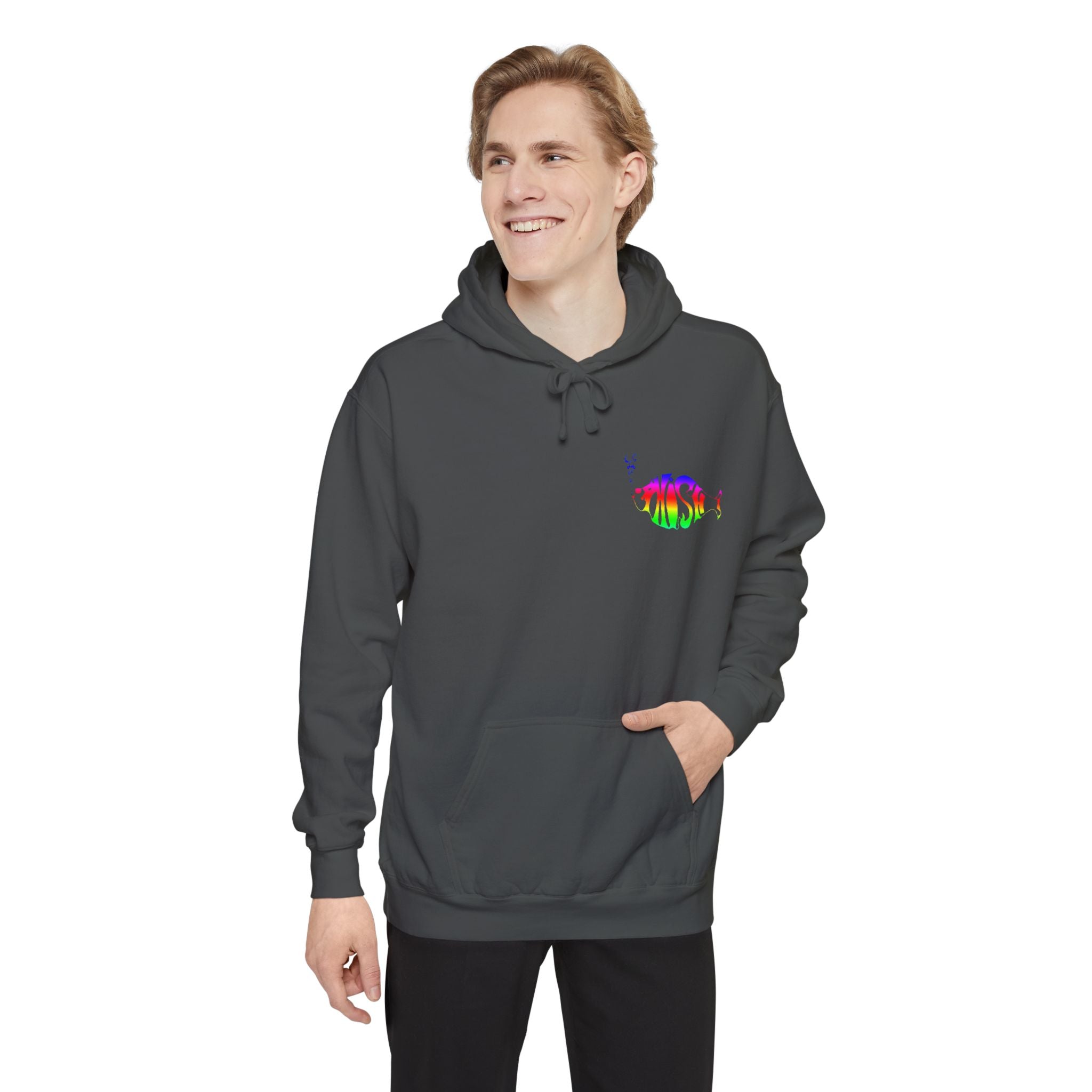 Phish Retro Hoodie | Premium Comfort Colors Sweatshirt | 9.5 oz Heavyweight Phish Hoodie