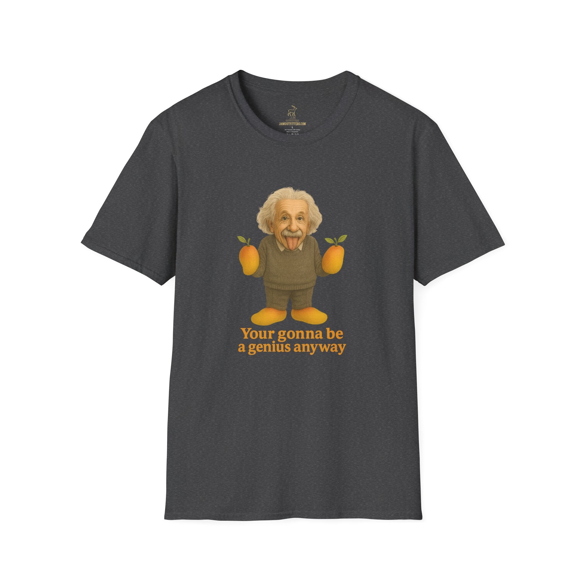 Phish The Mango Song Shirt | Phish Einstein Shirt | Jam Band Tee | Phish Concert T-Shirt | Festival Tour Phan Gear