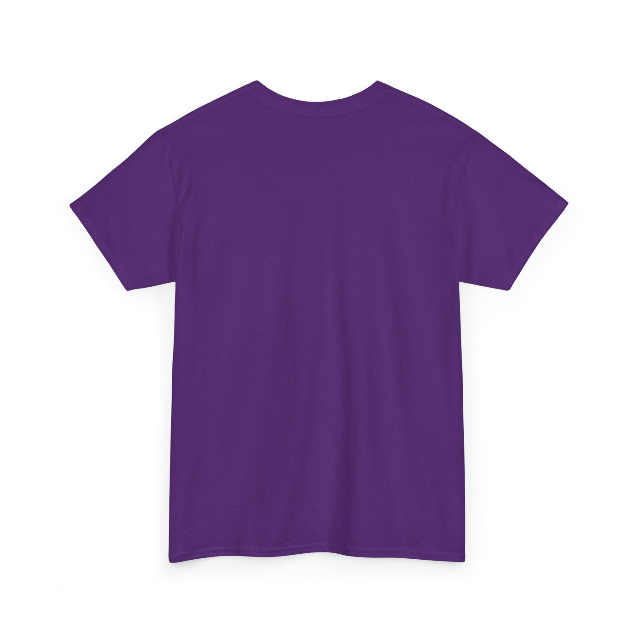 Phish Lizards Shirt | Jam Band Tee | Psychedelic Concert T-Shirt | Festival Tour Phan Gear