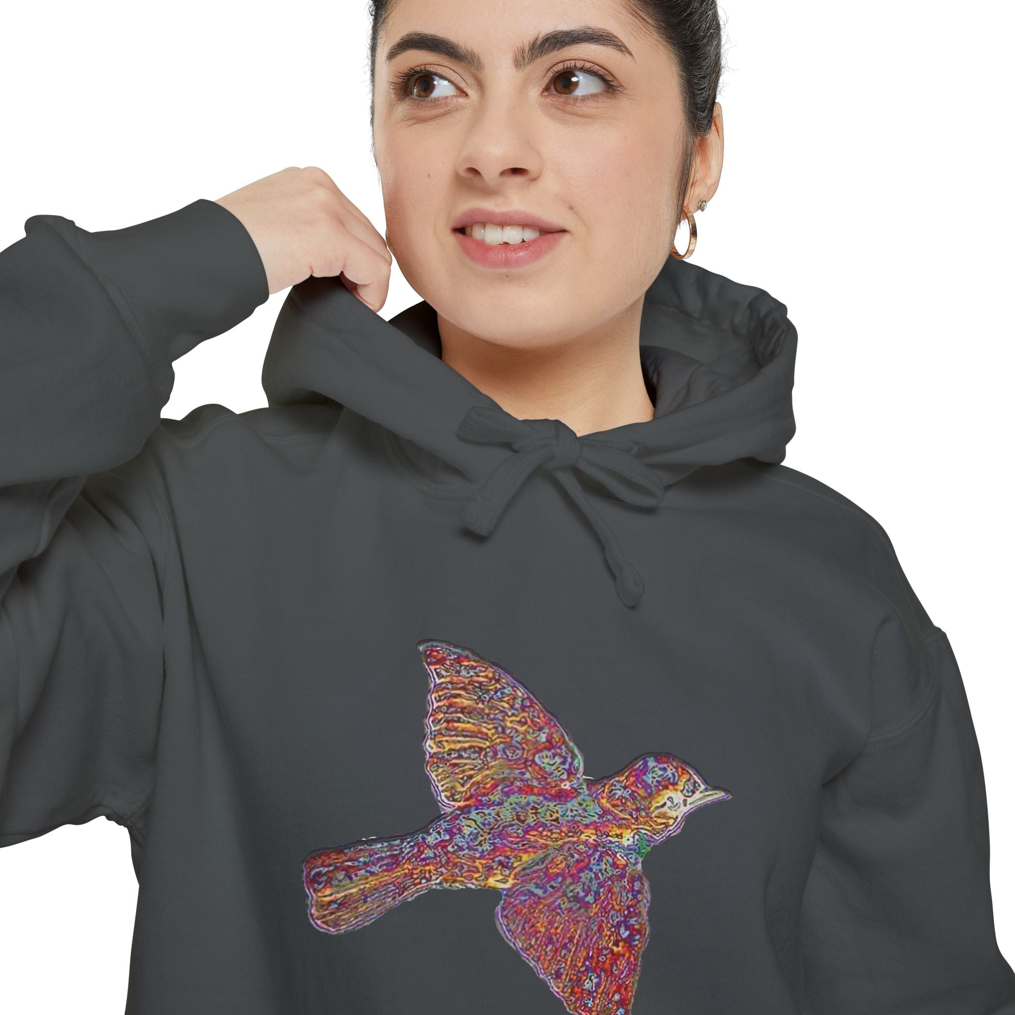 WSP Premium Hoodie | Widespread Panic Love Bird Sweatshirt | 9.5 oz Comfort Colors Heavy Weight Jamband Hoodie